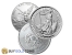 1 Ounce Silver Bullion Coin 999 Fine