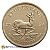2024 1 Ounce Krugerrand Gold Coin