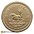 2024 1/10 Ounce South African Krugerrand 