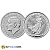 2024 Platinum 1 Ounce Britannia Coin - Royal Mint
