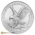 2024 Silver American Eagle 1 Ounce Coin, Tube of 20 Coins