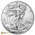 2023 Silver American Eagle 1 Ounce Coin, Tube of 20 Coins