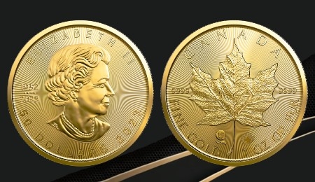 Why is the Canadian Maple Leaf so Popular?