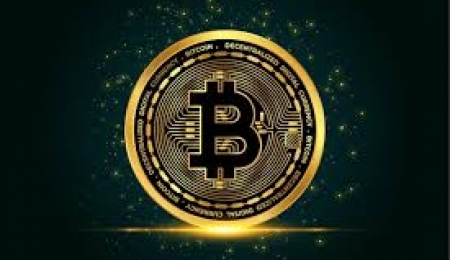 Understanding Trends in Crypto Market